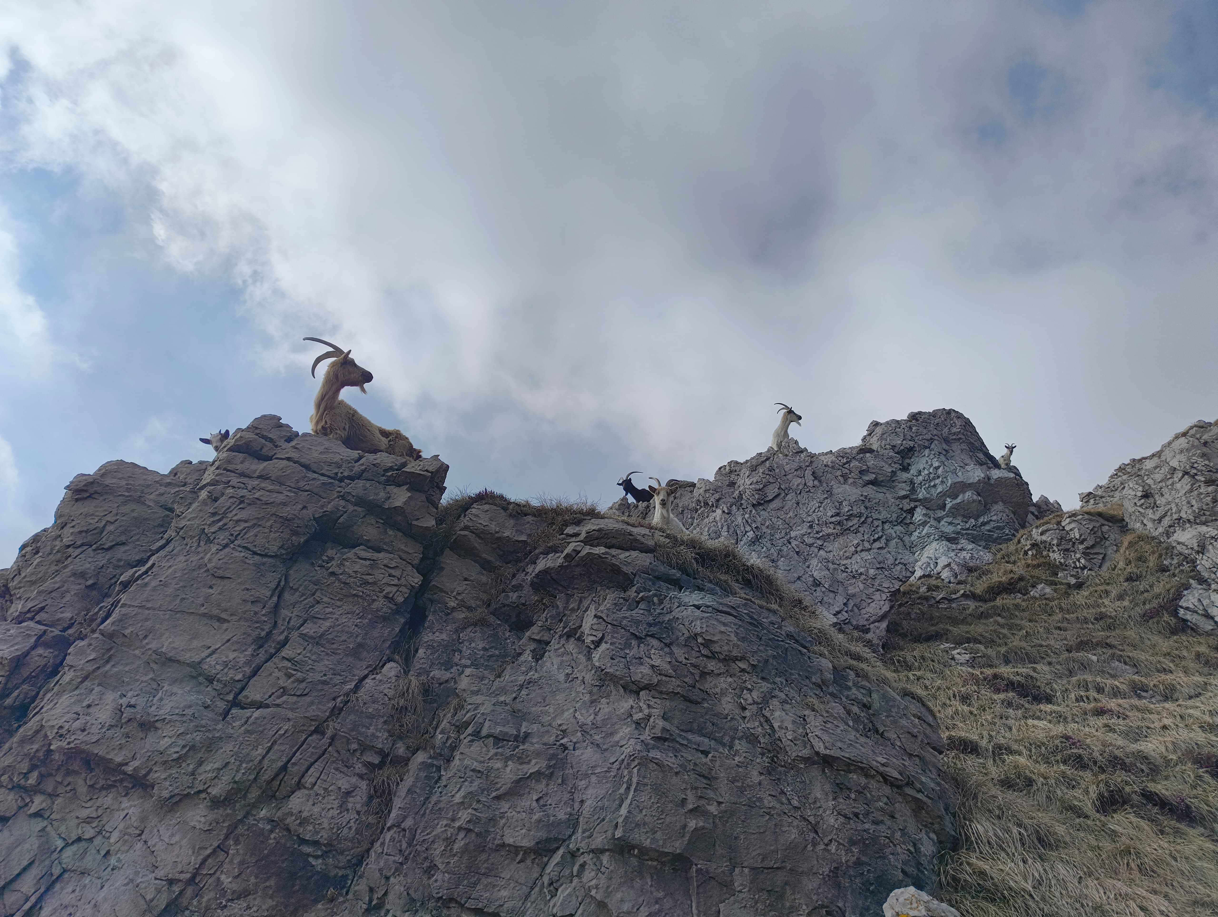 Foto n° 11 del trekking Resegone │ Gamma 1